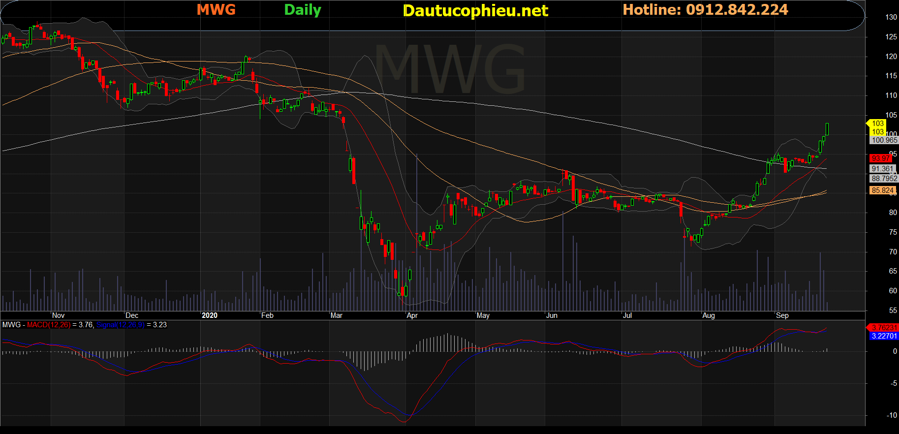 Cổ phiếu MWG