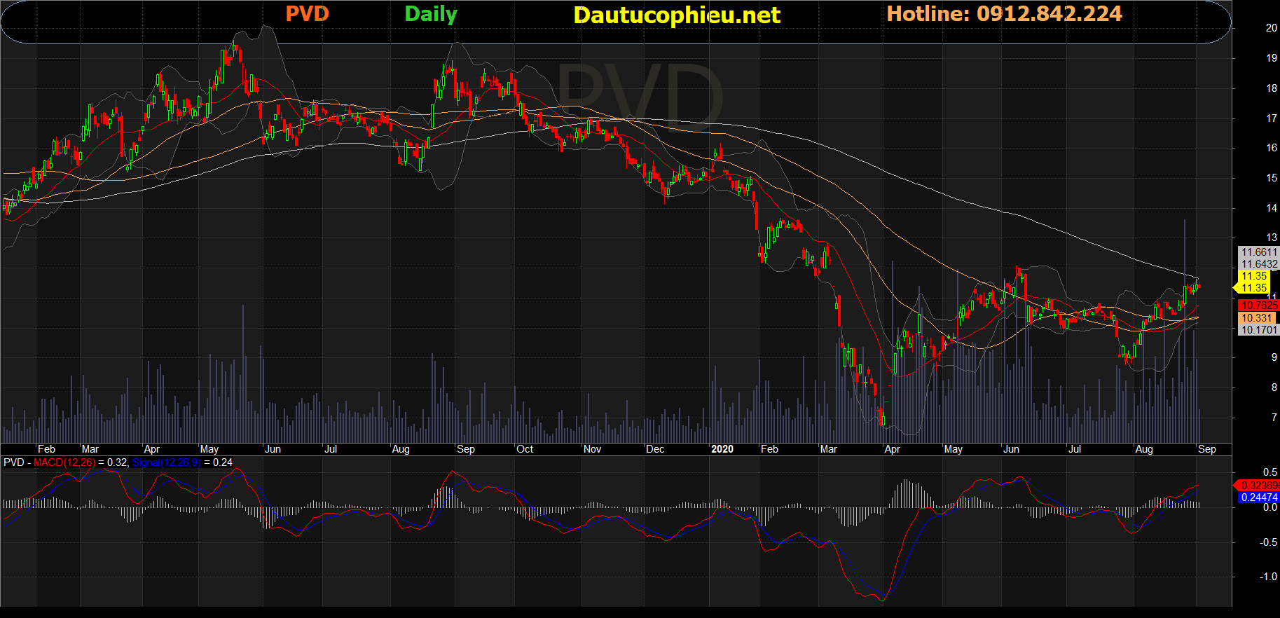 Cổ phiếu PVD