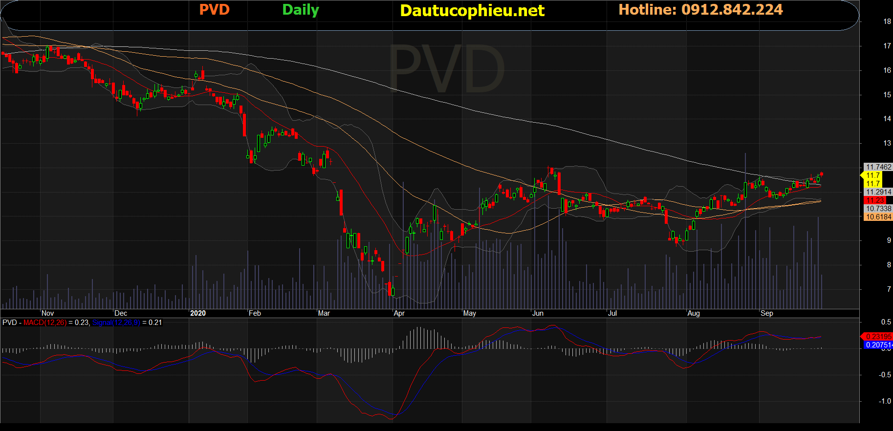 Cổ phiếu PVD