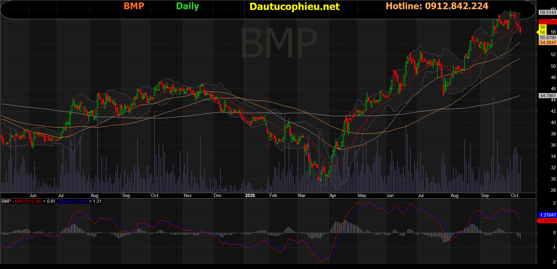 Cổ phiếu BMP