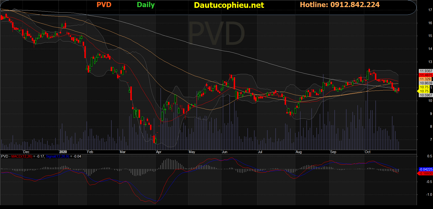 Cổ phiếu PVD