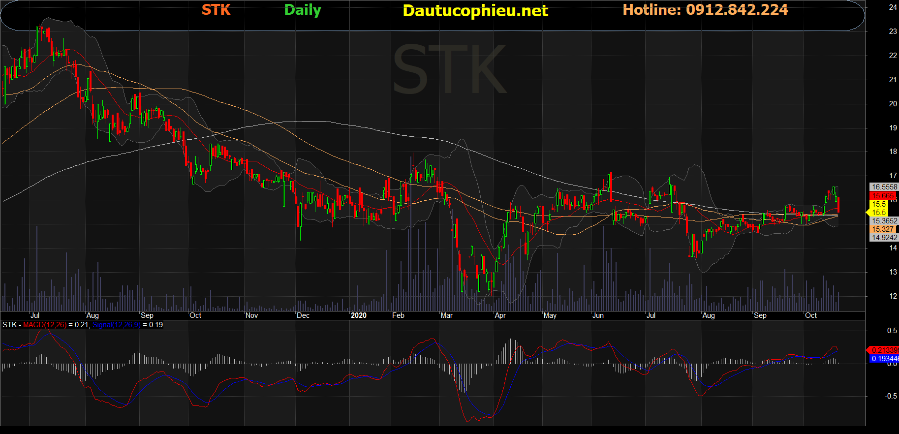 Cổ phiếu STK
