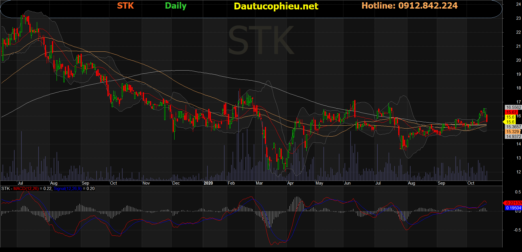 Cổ phiếu STK
