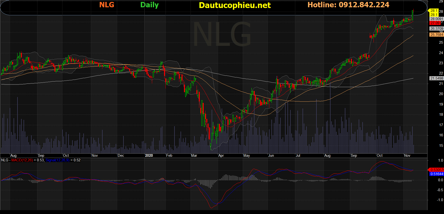 Cổ phiếu NLG