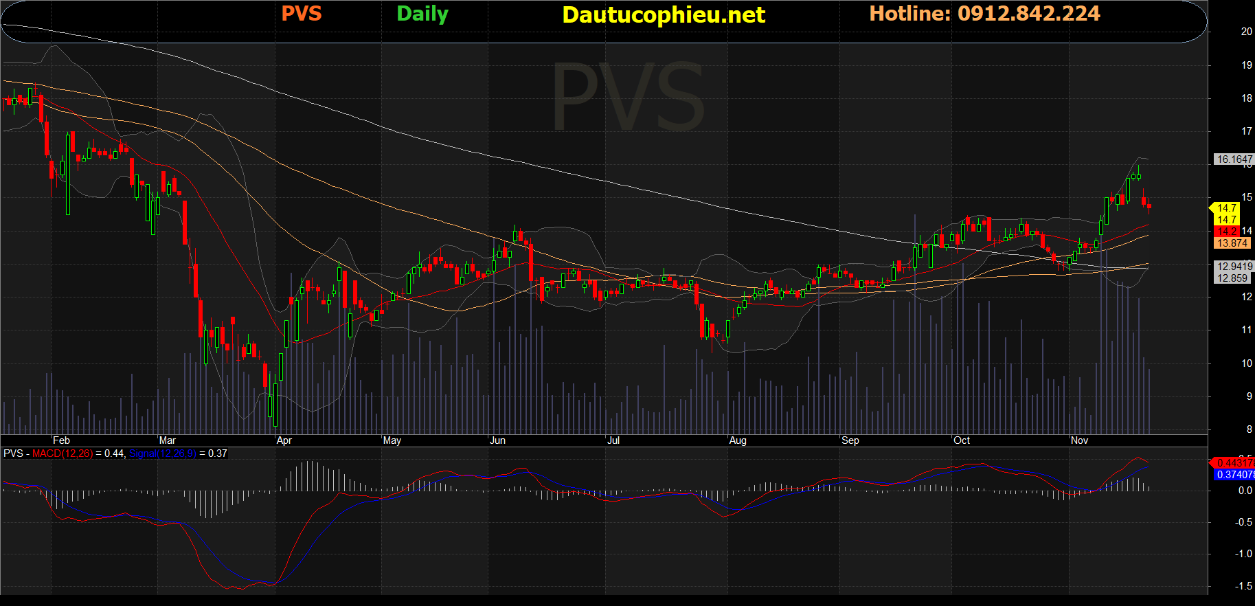 Cổ phiếu PVS