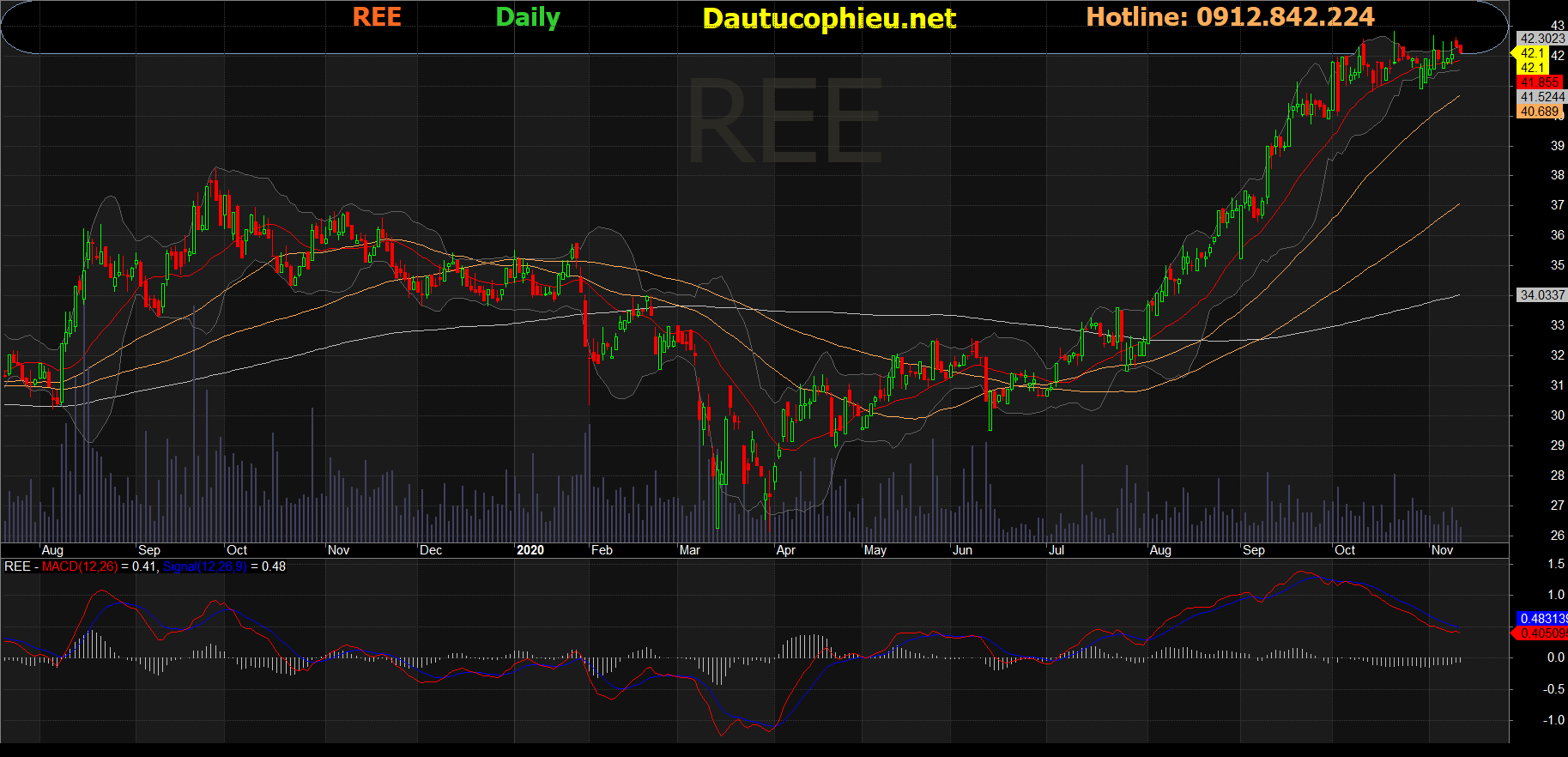 Cổ phiếu REE