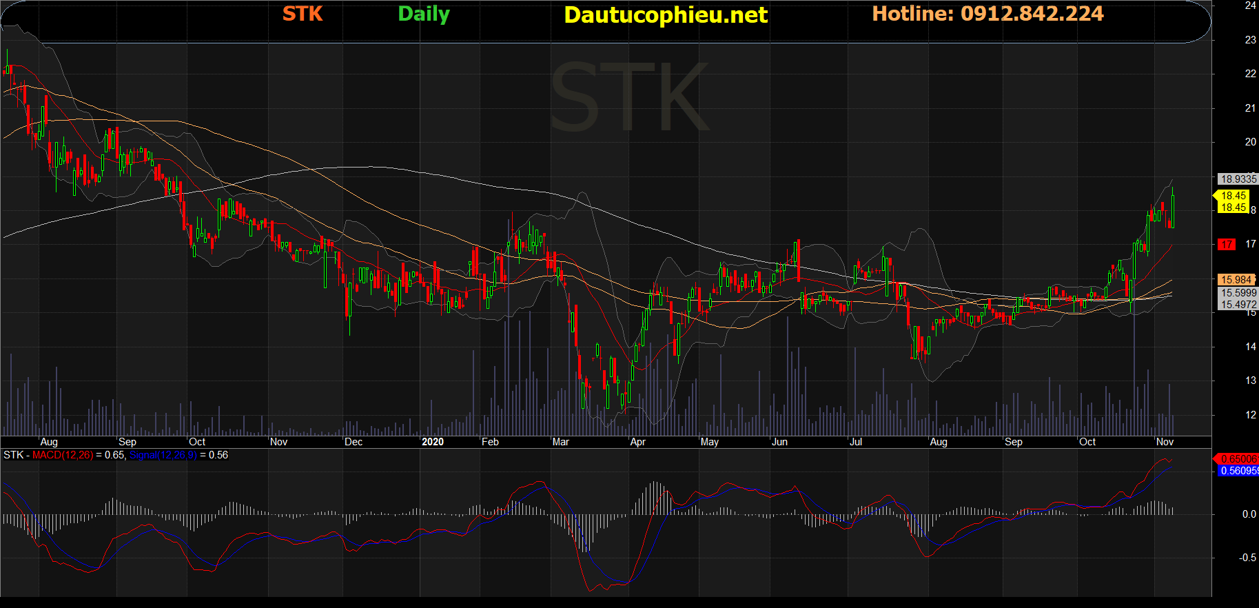 Cổ phiếu STK