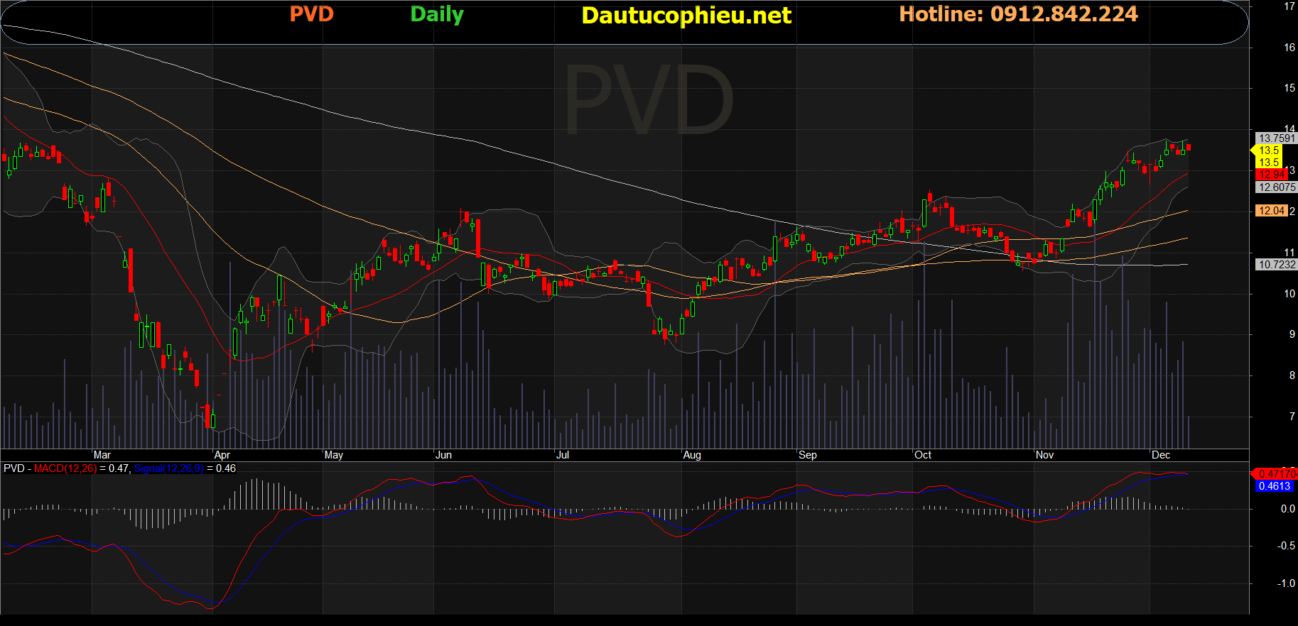 Cổ phiếu PVD