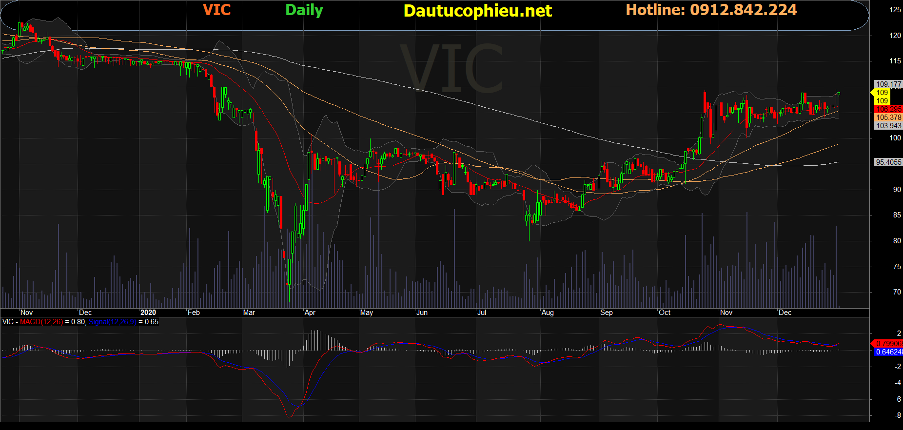 Cổ phiếu VIC