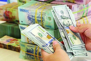 Cập nhật nhanh Kinh tế vĩ mô - Việt Nam bị dán nhãn thao túng tiền tệ