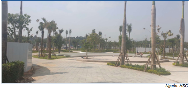 Cổ phiếu DXG