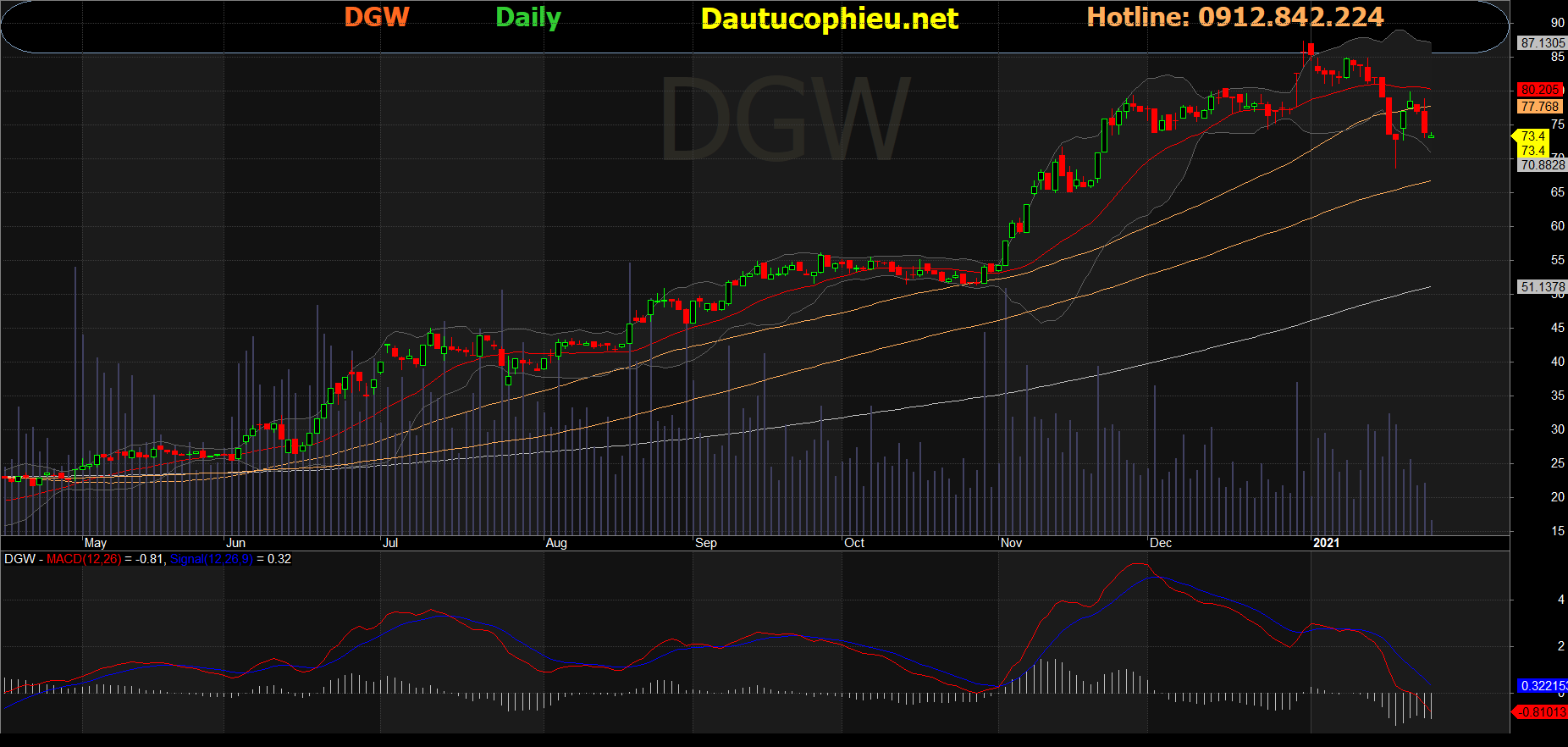Cổ phiếu DGW
