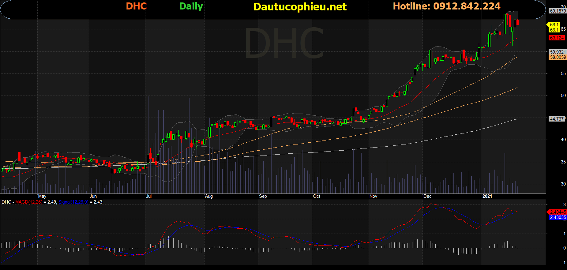 Cổ phiếu DHC