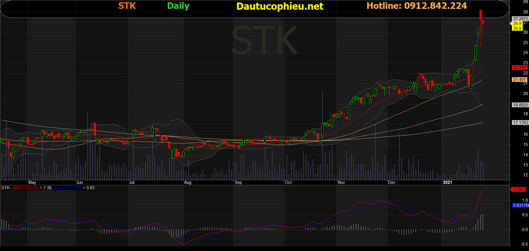 Cổ phiếu STK