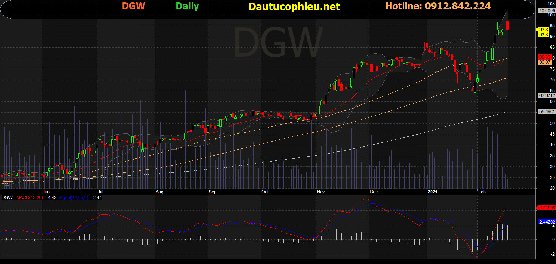 Cổ phiếu DGW