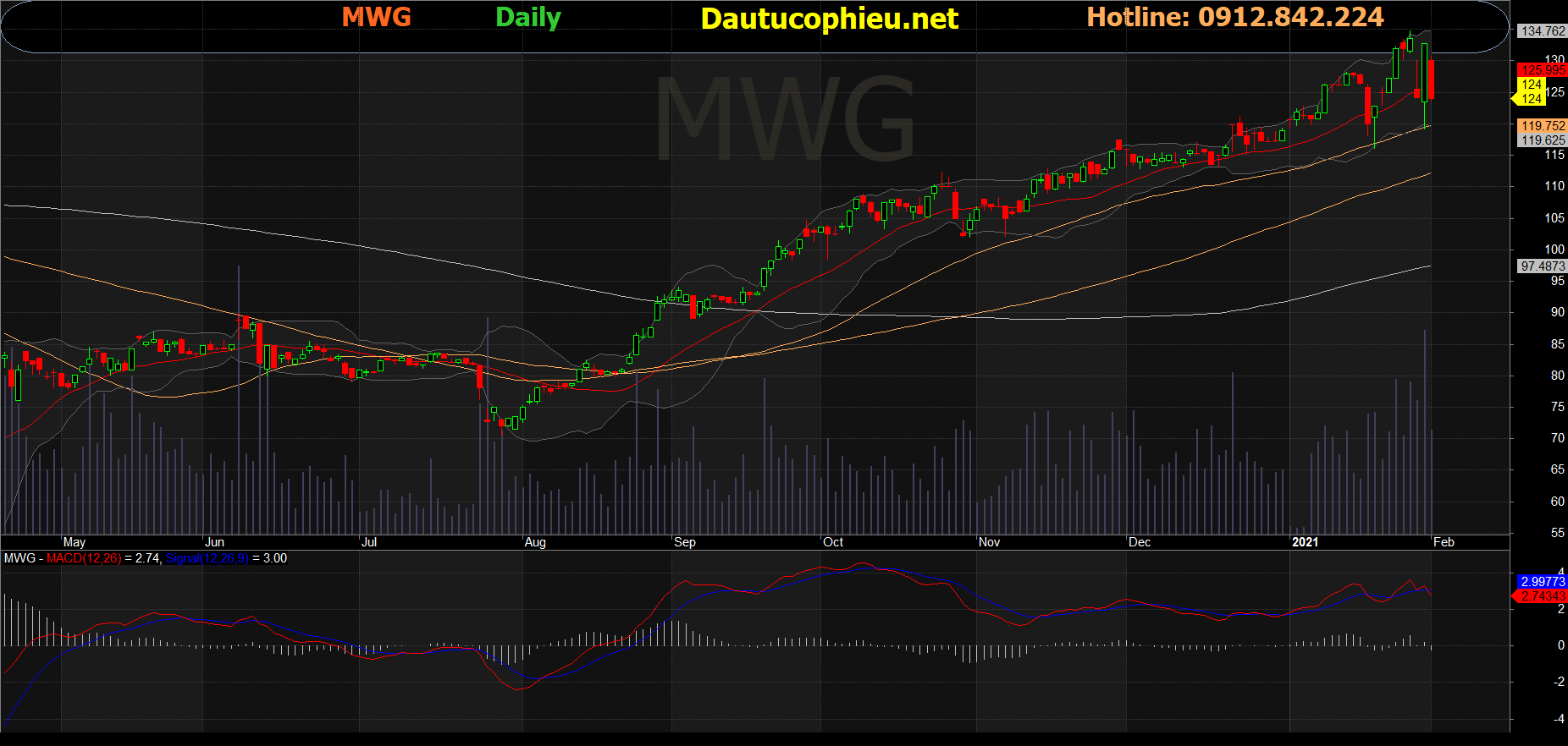 Cổ phiếu MWG