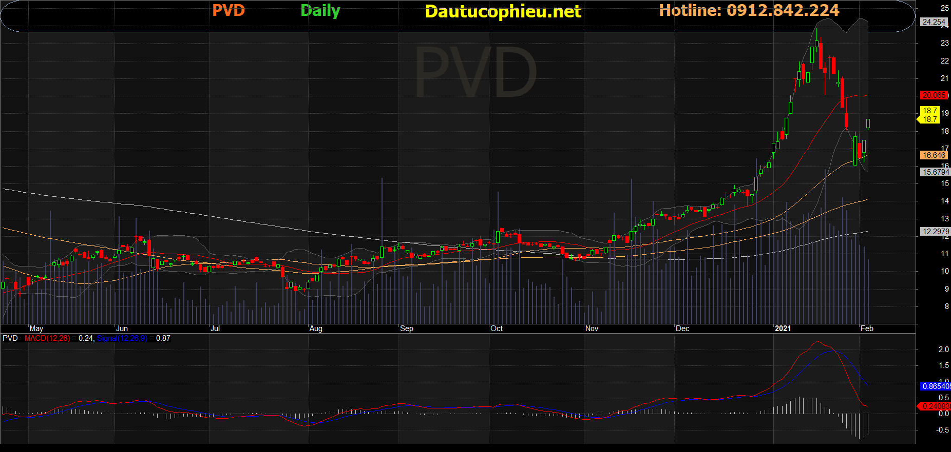 Cổ phiếu PVD