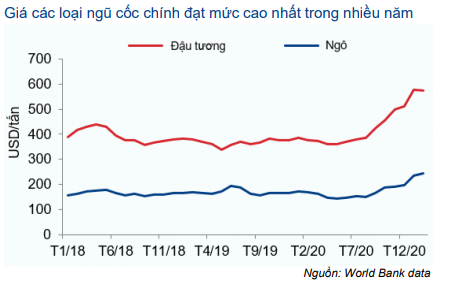 Cổ phiếu DCM