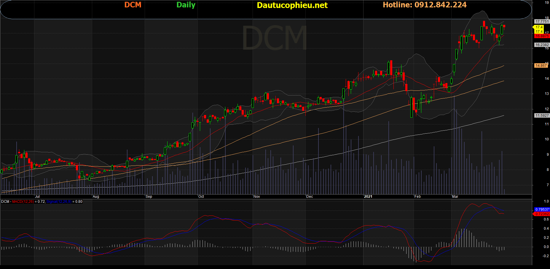 Cổ phiếu DCM