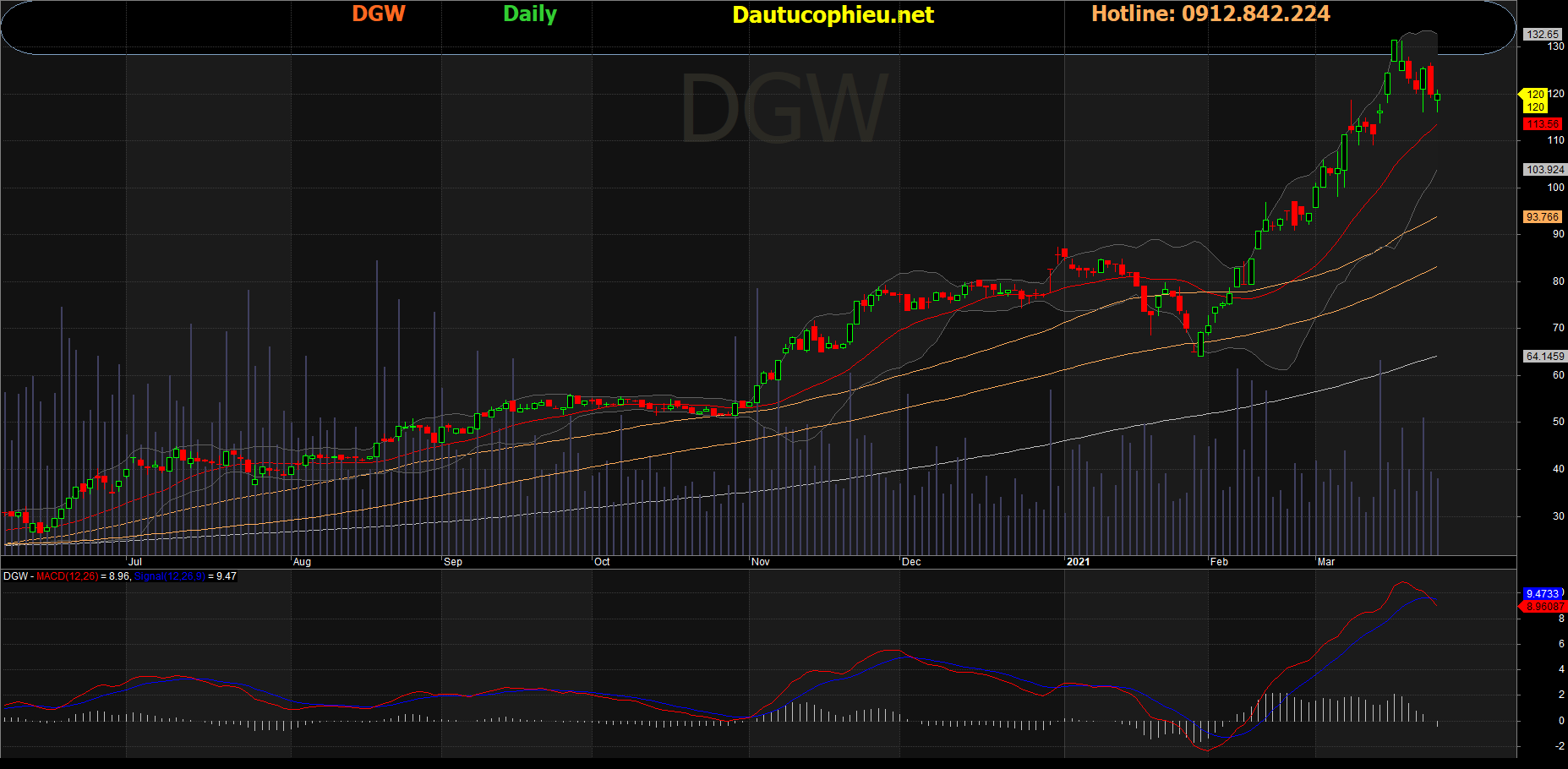 Cổ phiếu DGW