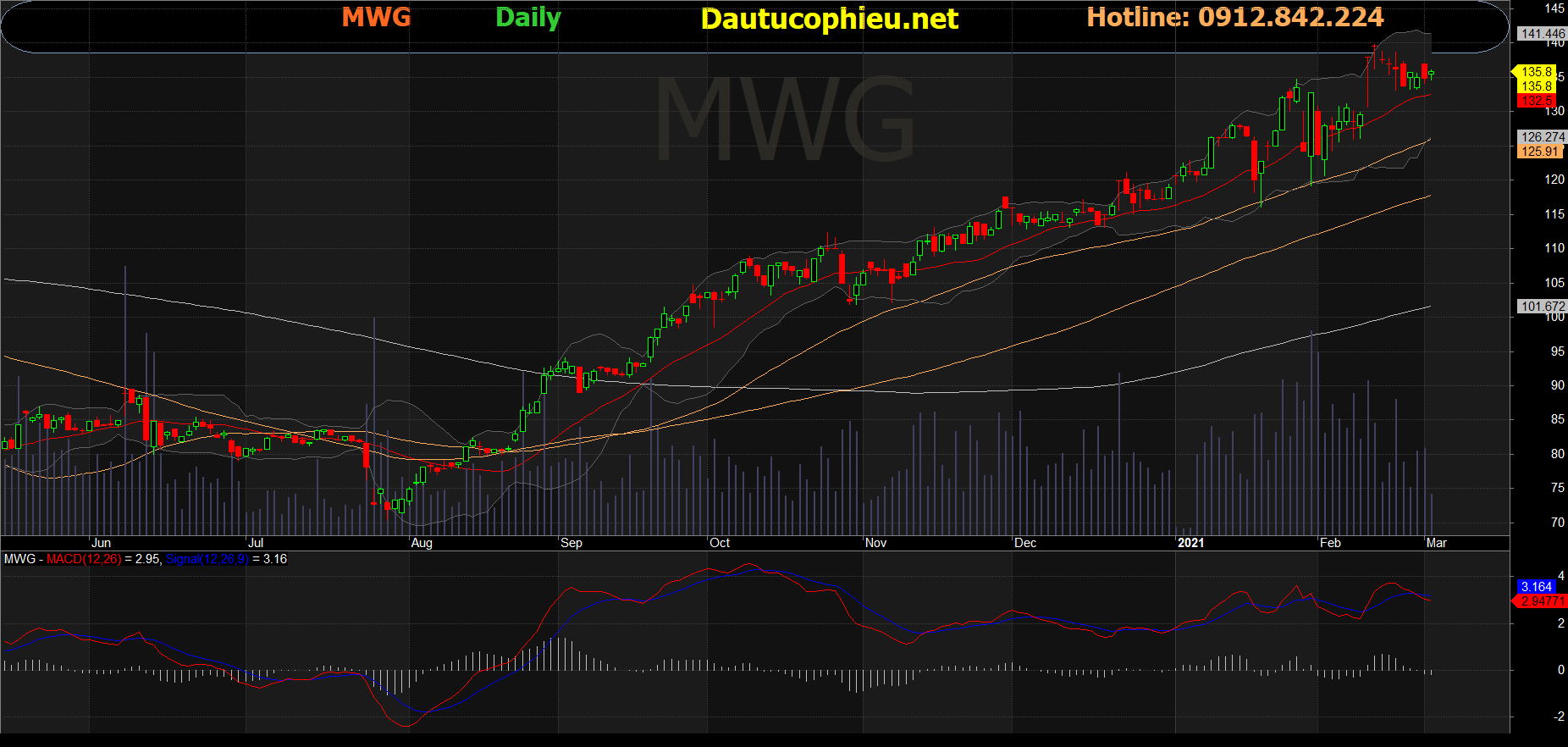 Cổ phiếu MWG