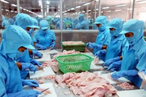 Cập nhật cổ phiếu VHC - Lợi nhuận có thể khó hồi phục