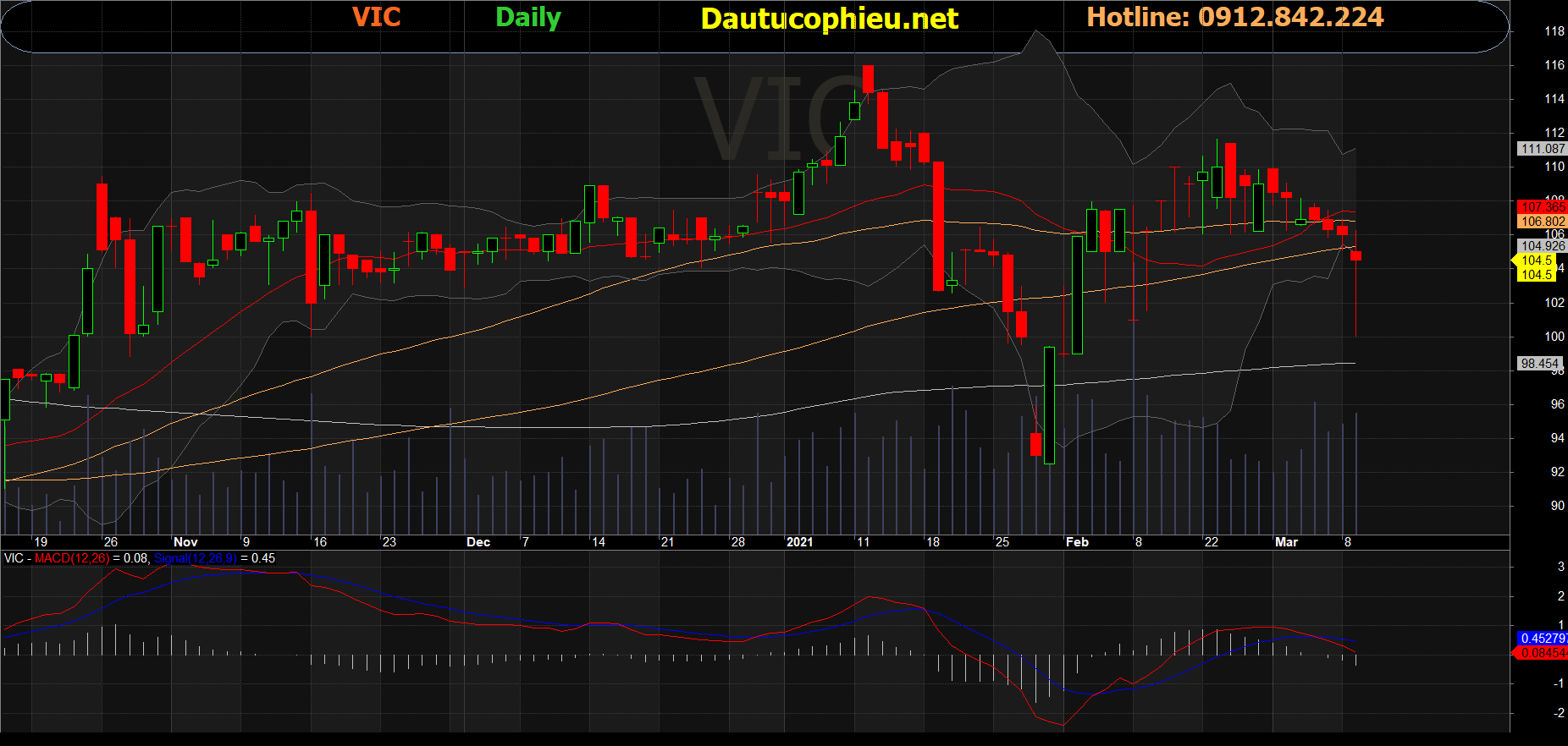 Cổ phiếu VIC
