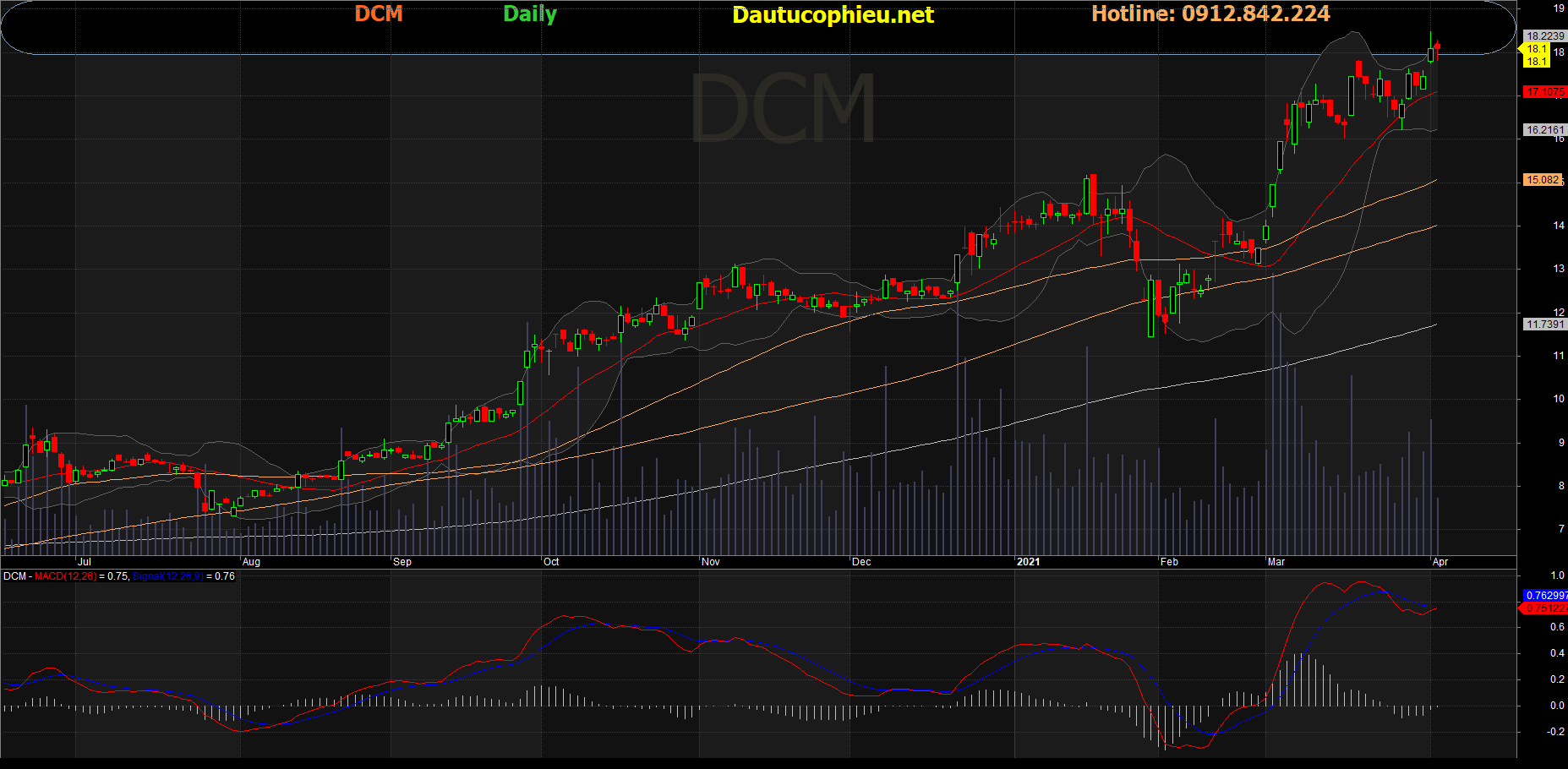 Cổ phiếu DCM