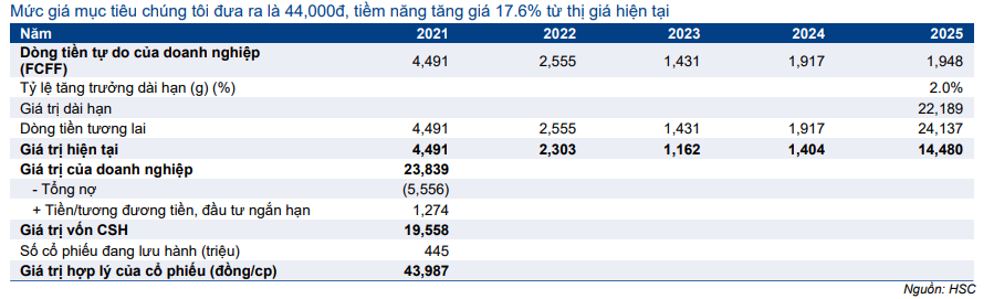 Cổ phiếu HSG