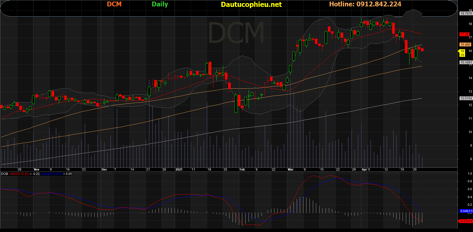 Cổ phiếu DCM