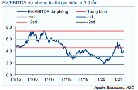 Cổ phiếu VSC