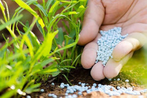 Báo cáo nhanh về ngành Vật liệu, Hóa chất – Urê: Lợi nhuận Q2 tăng mạnh nhờ điều kiện thị trường  thuận lợi