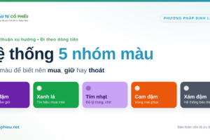 Hệ thống 5 nhóm màu Cashflow Focus phân loại danh mục cổ phiếu theo trạng thái