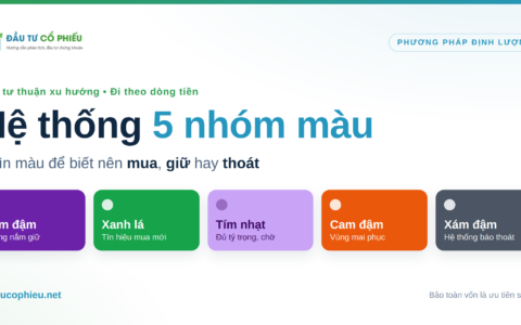 Hệ thống 5 nhóm màu Cashflow Focus phân loại danh mục cổ phiếu theo trạng thái