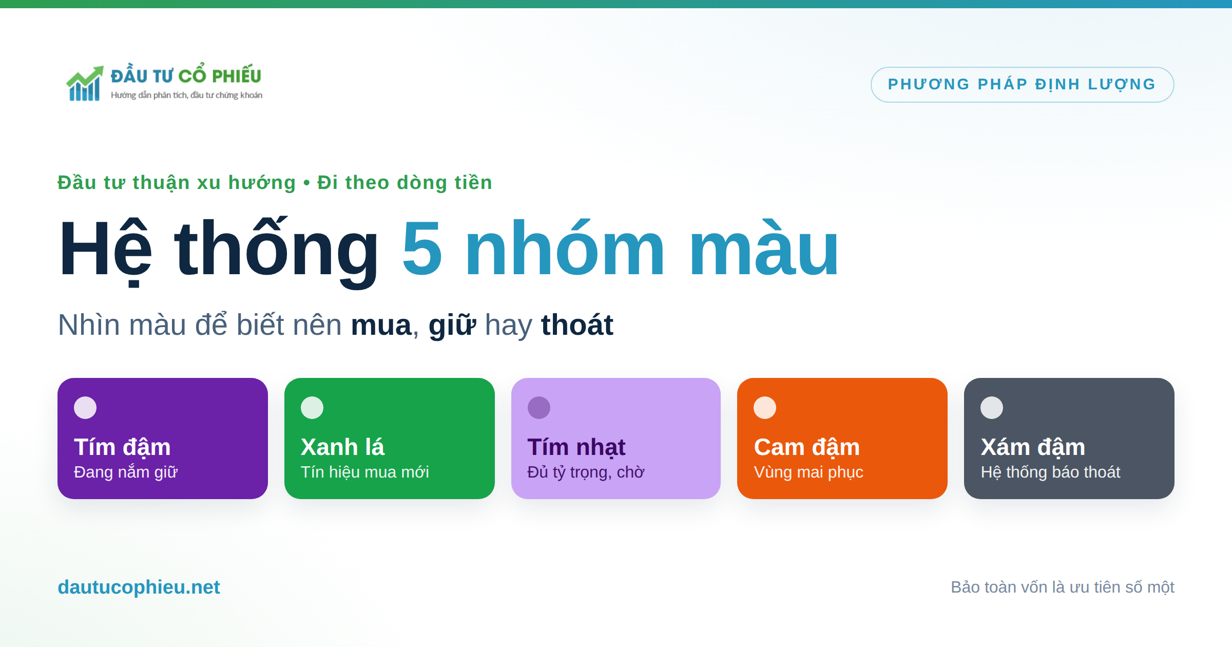 Hệ thống 5 nhóm màu Cashflow Focus phân loại danh mục cổ phiếu theo trạng thái