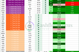 Nhịp đập danh mục Cashflow ngày 21/10/2026: giữ 4 mã, tiền mặt vẫn chiếm 60%