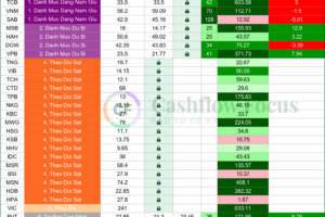 Nhịp đập danh mục Cashflow ngày 29/10/2026: tiền mặt vẫn chiếm 60%