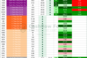 Nhịp đập danh mục Cashflow ngày 19/10/2026: Tiền mặt trở lại 60%, PVT bị loại khỏi danh mục