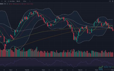 Đồ thị VN-Index kết thúc phiên giao dịch ngày 01/10/2026