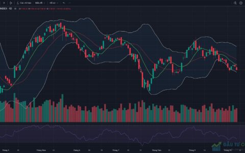 Đồ thị VN-Index kết thúc phiên giao dịch ngày 08/10/2026