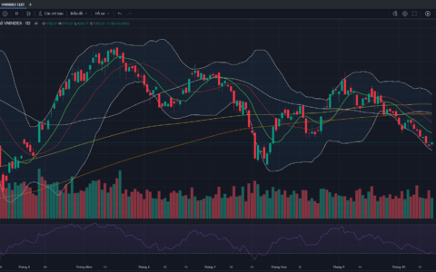 Đồ thị VN-Index kết thúc phiên giao dịch ngày 16/10/2026